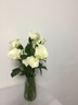 志高（CHIGO）烧水壶1.8L电热水壶保温一体自动恒温电热水壶家用热水壶自动断电双层防烫TH185B-01B 实拍图