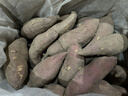 京鲜生临安天目小香薯净重5斤 单果50-150g 产地海南 香甜软糯 源头直发 实拍图