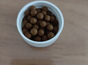 同仁堂北京同仁堂 五子衍宗丸 60g 小黑丸子补肾益精肾虚精亏阳痿不育遗精早泄腰痛尿后余沥 男科用药 补肾 实拍图
