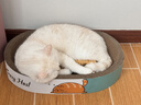 欢宠网猫玩具猫咪逗猫棒猫薄荷磨牙棒自嗨解闷神器磨牙猫猫小猫幼猫宠物 实拍图