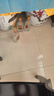 五粮液股份 尖庄大光优级 浓香型白酒 50度500mL*12 原箱 酒厂直供 实拍图