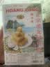 黄龙绿豆糕正宗越南进口 黄龙绿豆糕椰子味310g(42小盒) 绿豆饼中式糕点零食 实拍图