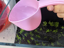有棵树【聚拢胸贴】硅胶无痕防滑隐形防走光防凸点小胸显大婚纱专用文胸 实拍图