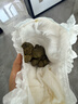 爷爷的农场有机亚麻籽油110ml 食用油热炒凉拌辅食油 赠婴儿宝宝辅食谱 实拍图