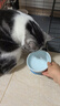 乐优派猫碗陶瓷狗碗猫食盆狗盆宠物碗猫粮碗高脚防打翻猫咪用品 渐变蓝 实拍图