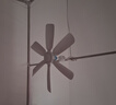 美的（Midea） 小吊扇小型电风扇蚊帐扇家用学生宿舍风扇床上风扇轻音电风扇吊式小电扇 FC45-EB 机械旗舰款 实拍图