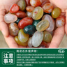 寿禾 雨花石鹅卵石七彩石鱼缸造景装饰景观石子 500g雨花石0.8-1.5cm 实拍图