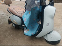 金箭电动摩托车 【人气爆款】灵彩60V20AH铅酸电池长续航800W大动力踏板电动轻便摩托车电动车积木蓝 实拍图