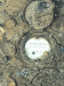 京觅四川大凉山丑苹果 净4.5斤单果75mm+ 新鲜水果冰糖心苹果源头直发 实拍图
