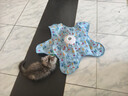 光多拉猫咪玩具五角星捕猎罩1200毫安时自动幼猫转盘逗猫棒宠物自嗨玩具 实拍图