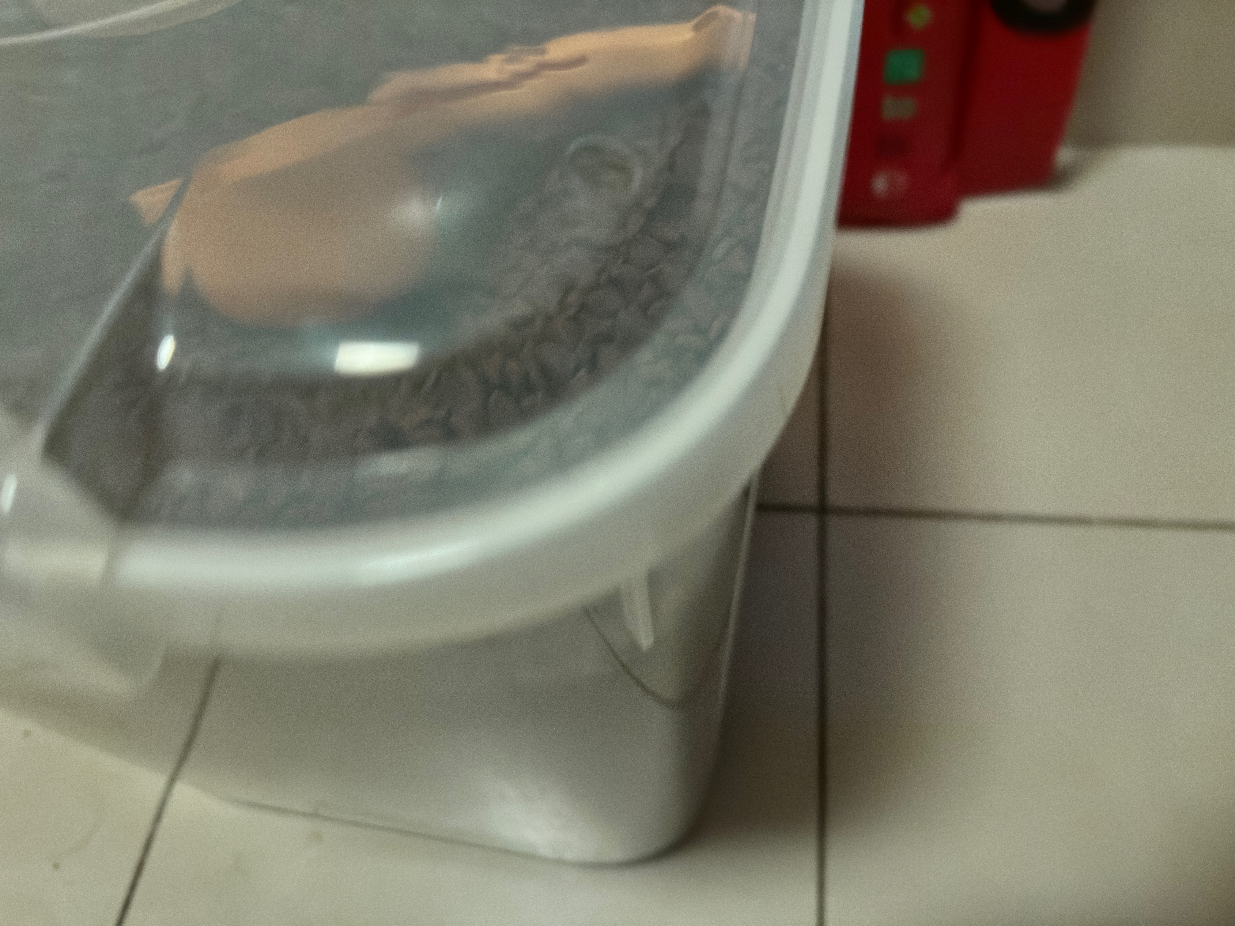 佩玛思特PetMaster深海鱼系列幼犬粮狗粮全价犬粮10kg【囤货装】 实拍图
