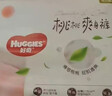 好奇（Huggies）铂金装小桃裤成长裤XXXL26片*4包(17kg以上)【夏季散热王】 实拍图
