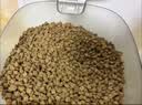 网易严选全价猫粮 宠物主粮成幼猫全价粮高蛋白猫咪食品 原野禽肉味500g 实拍图