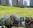 骆驼（CAMEL）天幕户外大号黑胶露营帐篷野营野餐遮阳棚防雨防晒野外露营 B011A 实拍图