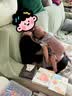 BabyBjorn瑞典品牌进口透气婴幼儿背带抱娃神器Harmony背带0-3岁 达斯丁粉 实拍图