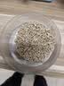 白云制面 BAIYUN NOODLE1.2kg淮山面 低脂粗粮爽滑广式碱水挂面非油炸拌面老字号家庭装 实拍图