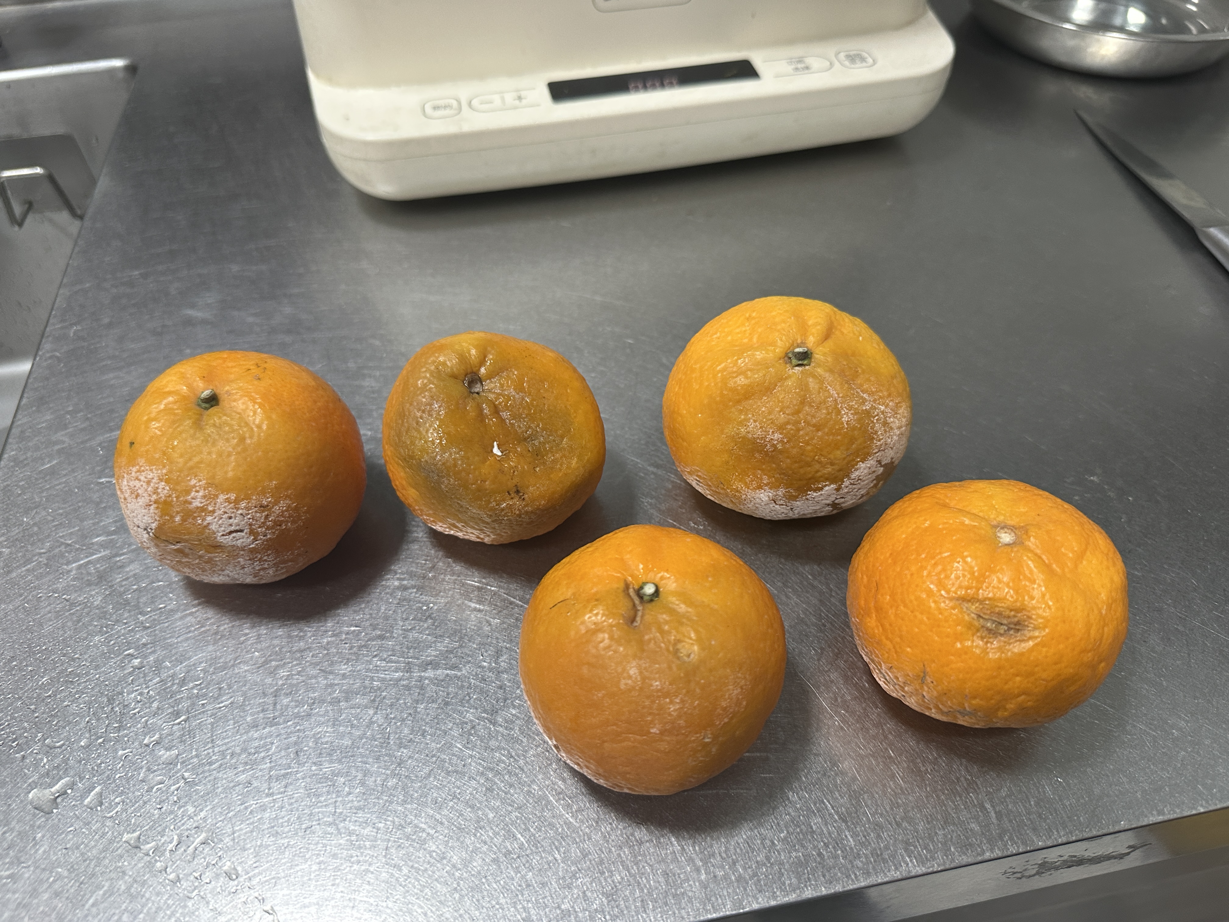 京地达云南无籽沃柑蜜桔橘子水果净重9斤单果70mm+新鲜应季水果源头直发 实拍图