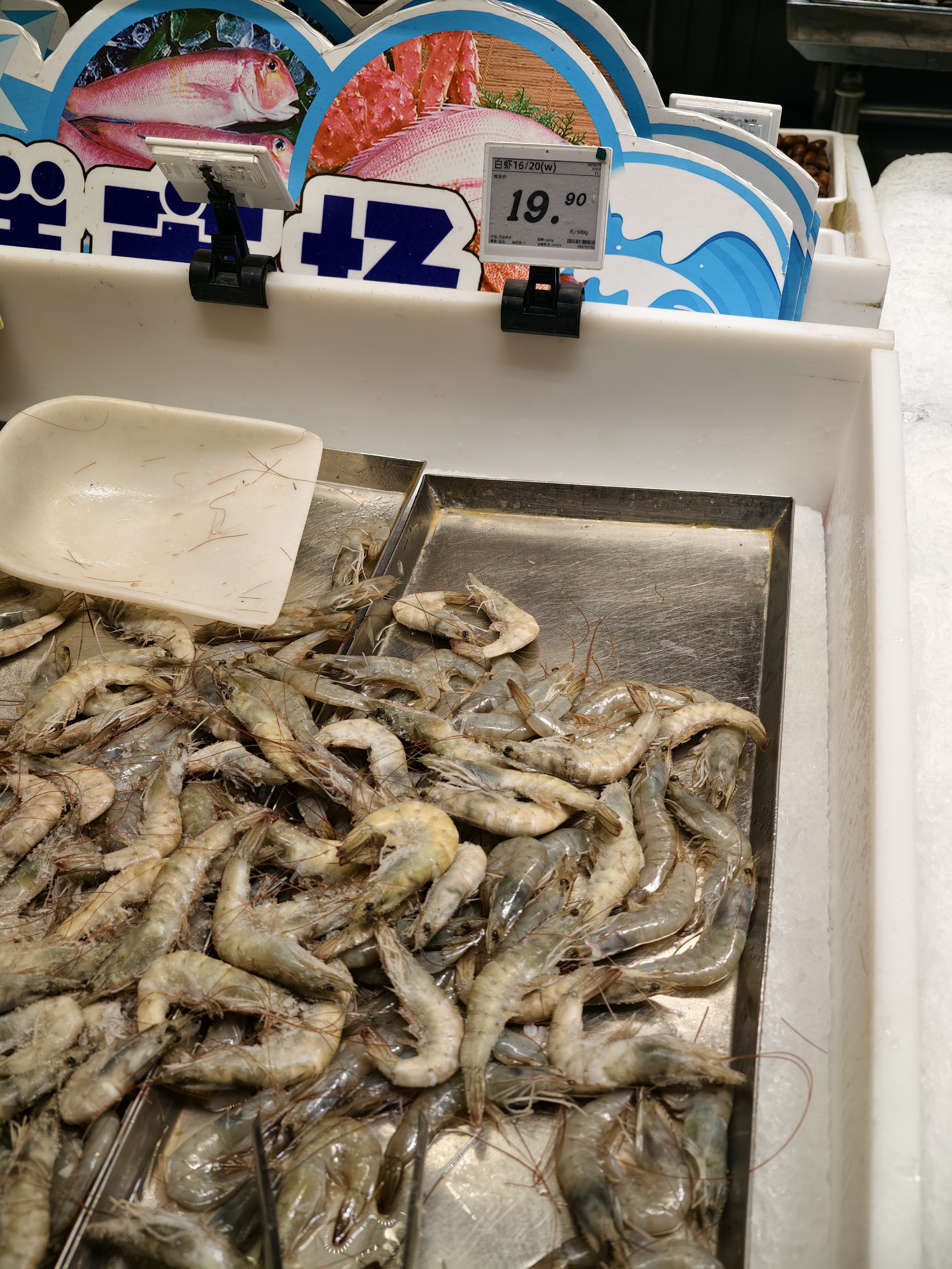 美的（Midea）电饼铛 双面加热 家庭用煎饼煎烤机烙饼锅 加大加深烤肉抗菌电煎锅火力可调电饼档JKC30J58 实拍图