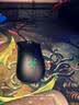 雷蛇（Razer）炼狱蝰蛇标准版有线鼠标 人体工学 电竞游戏 右手通用型 吃鸡/LOL/CSGO游戏鼠标 黑色 实拍图