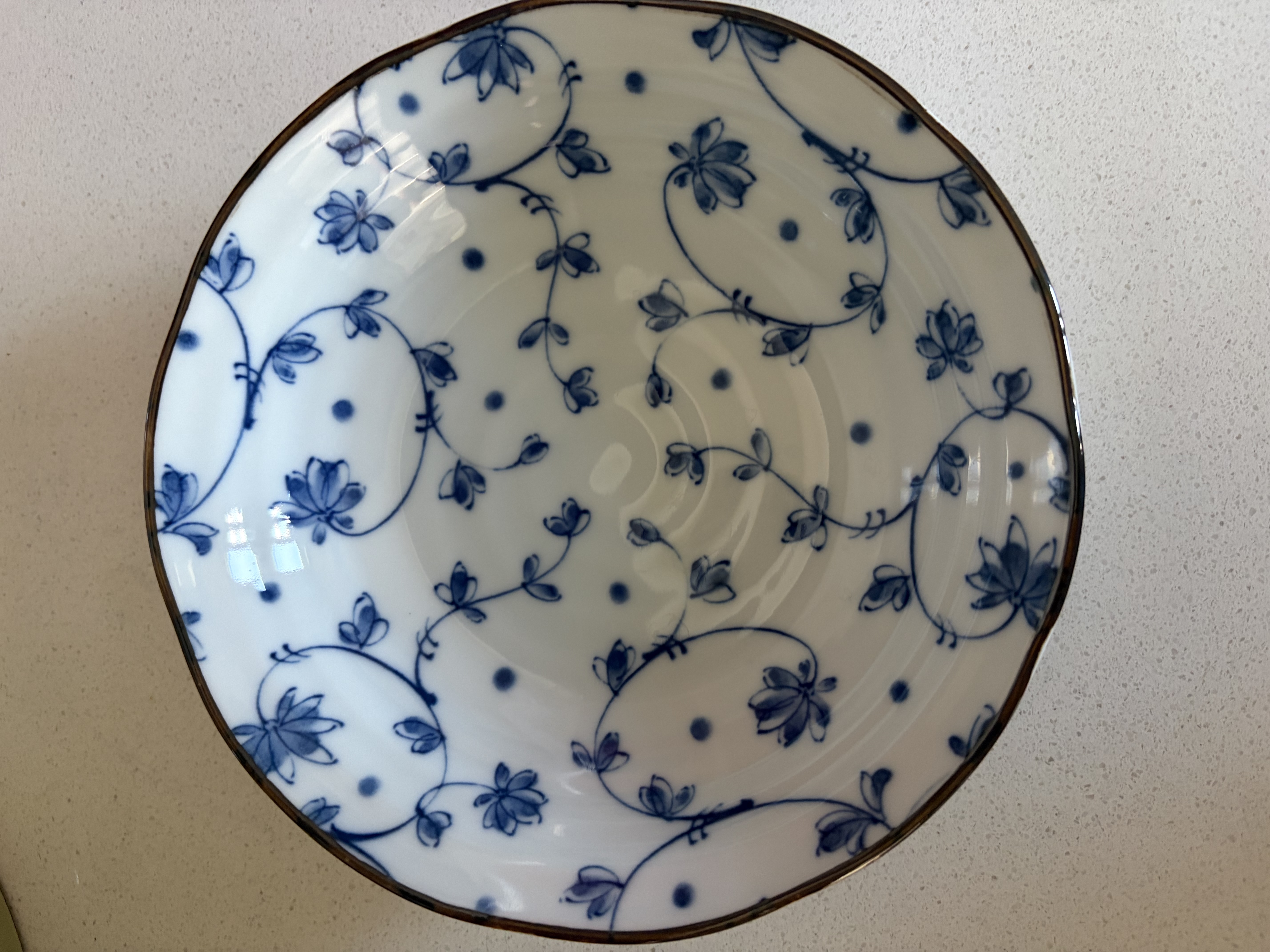 美浓烧（Mino Yaki）创意餐具日式陶瓷菜盘碟子家用饺子寿司意面盘浅盘小盘子 唐草-青花【16.5CM*4.2CM】 实拍图