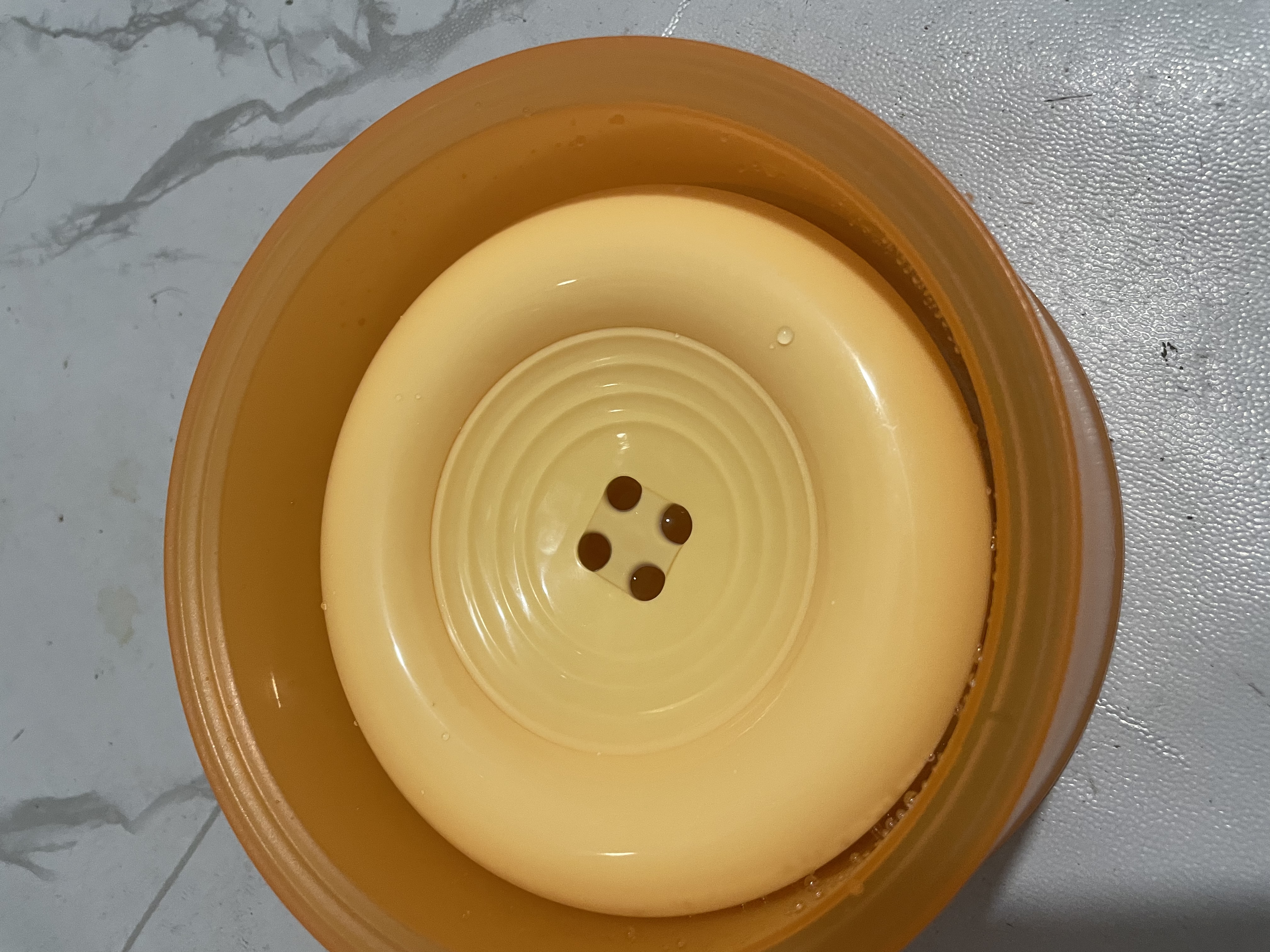 HELLOJOY宠物悬浮碗狗碗猫碗不湿嘴水碗狗狗喝水器漂浮水盆猫咪饮水防打翻 实拍图