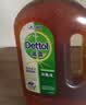 滴露（Dettol）消毒液消毒水衣物除菌液洗衣服地板杀菌除螨消毒喷雾片非84次氯酸 【小瓶尝鲜】松木250ml 实拍图