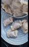 湾仔码头玉米蔬菜猪肉水饺1320g66只早餐速食半成品面点生鲜速冻饺子 实拍图
