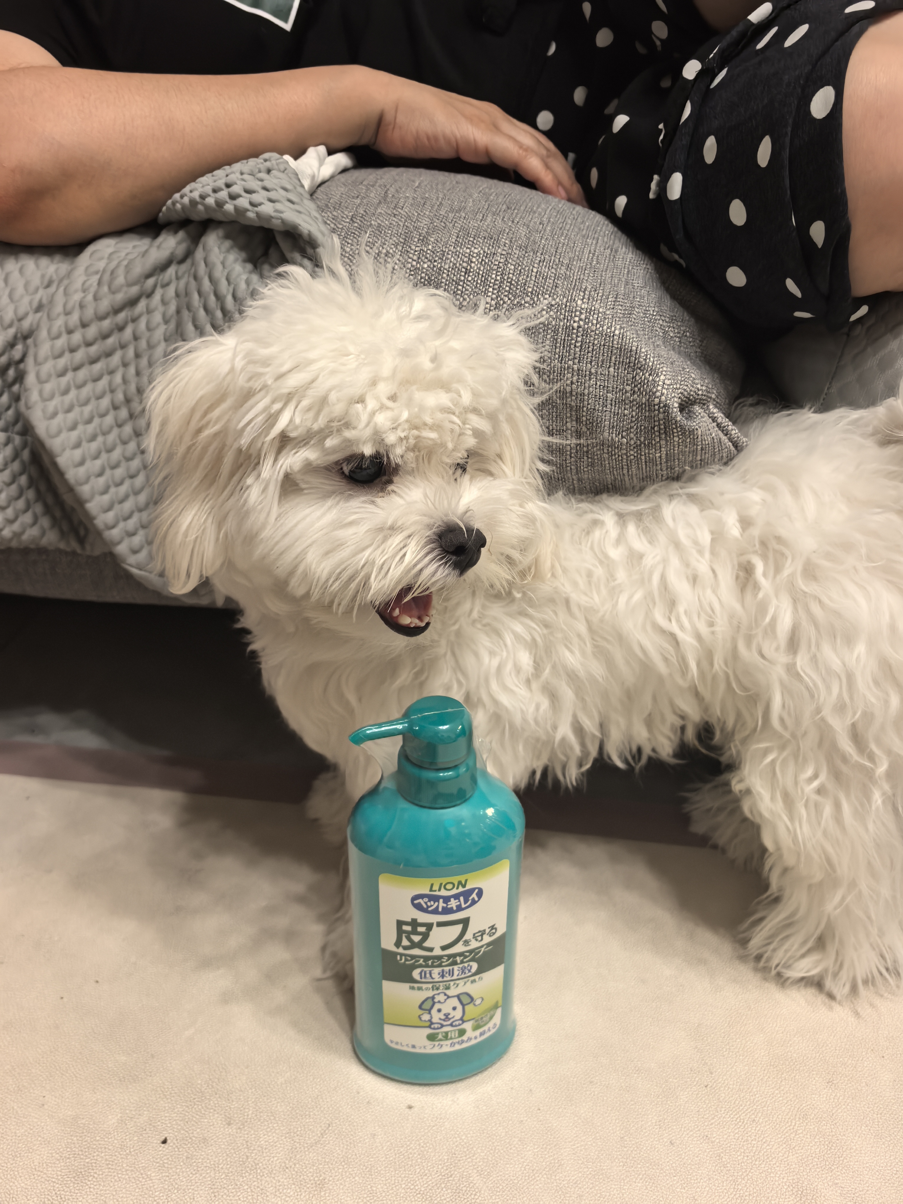 狮王艾宠宠物沐浴露犬用除臭除味温和滋润洗护二合一550ml狗狗用 实拍图