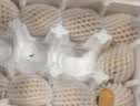京觅四川枇杷净重2斤 单果30g+当季新鲜水果米易大五星枇杷源头直发 实拍图