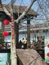 babycare儿童竹蜻蜓手枪飞盘飞碟弹射旋转陀螺户飞行外玩具发光黄色 实拍图