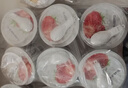 卡士（CLASSY.KISS）【全程冷链】果粒鲜酪乳混合口味100g*18杯 实拍图