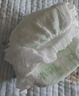 布班迪【透明溯源】甄芯薄婴儿学步裤XXL72片拉拉裤尿布夏季超薄尿不湿 实拍图