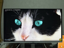 微星（MSI）27英寸4K120Hz 第四代雾面QD-OLED Mac软件 色彩同步 家用游戏办公显示器PRO MAX 271UPXW12G 实拍图