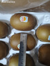 佳沛（zespri）新西兰 阳光金果18粒超大果原箱单果175-204g 猕猴桃水果礼盒 实拍图