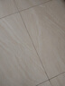 德尔玛（Deerma）【重磅新品】TJ700S 干吹两用吸尘器 家用商用 吸尘器桶式大吸力 整机降噪设计ZN-530 实拍图
