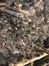 白沙溪 安化黑茶 2021年金花茯茶砖茶天尖嫩料天茯茶叶礼盒1000g送礼袋 实拍图