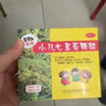 【5盒装】三公仔小儿七星茶颗粒7g*10袋 消食化积儿童清热积食便秘开胃消滞肠胃调理儿科专科用药 实拍图