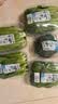 小汤山 油菜 250g 基地直供新鲜蔬菜GAP认证 实拍图