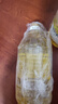 金龙鱼 食用油 压榨 不油腻轻年葵花籽油4L（新老包装随机发货） 实拍图