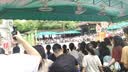 MISSCELL香樟木条驱虫防蛀香樟木条衣橱柜衣物衣服防潮代替樟脑丸 实拍图