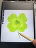 HUAWEIMatePad Air 12英寸 华为平板电脑 鸿蒙AI 2.8K高刷超清全面屏 WIFI 12GB+512GB 烟云灰 实拍图