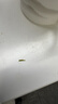 三万昌明前洞庭碧螺春特级绿茶2026新茶正宗苏州花果香自己喝茶叶50g 实拍图