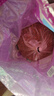 伟嘉（whiskas）海洋鱼味成猫猫粮10kg 加菲英短猫咪夹心粮全价粮 实拍图