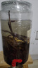 不老潭粮食酒 桶装高度浓香型泸州糯红高粱散装白酒纯粮壹号 52度 5L 实拍图