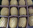 佳沛（zespri）新西兰阳光金奇异果10粒巨大果单果146-175g 猕猴桃水果礼盒 实拍图