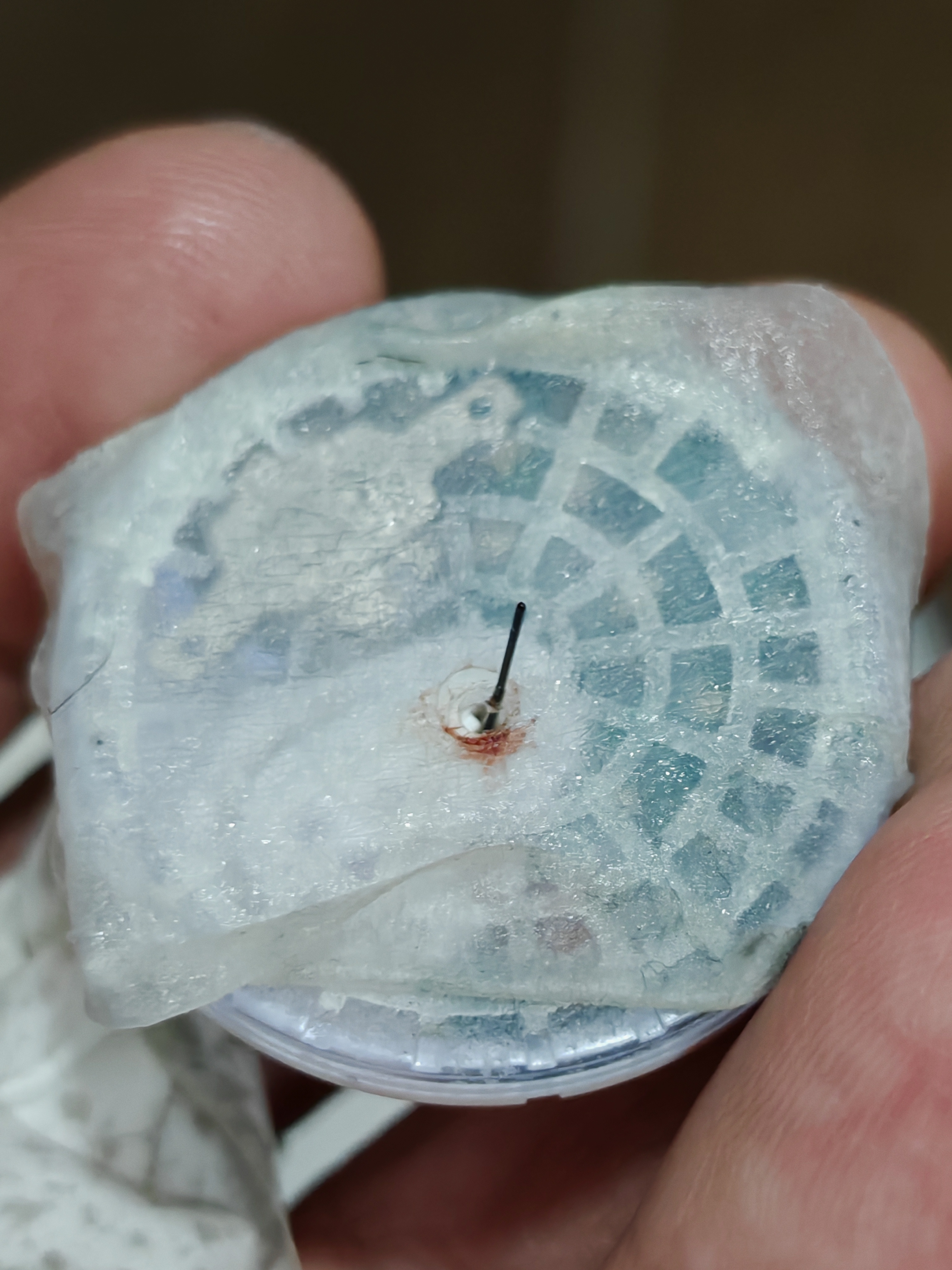 三诺爱看动态血糖仪家用免扎针免校准医用精准24小时持续监测I3 1盒装 实拍图
