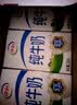 伊利纯牛奶250ml*24盒 优质乳蛋白早餐奶 4月产 实拍图