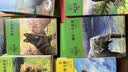 动物小说大王沈石溪品藏书系（升级版套装共36册）儿童故事书课外阅读正版套装 暑期阅读   省钱卡 实拍图
