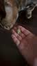 网易严选猫用薄荷饼干宠物幼猫成猫猫咪零食饼干薄荷味 95克 实拍图