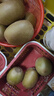 佳沛（zespri）新西兰  阳光金奇异果6粒装 单果约88-103g 猕猴桃水果 实拍图